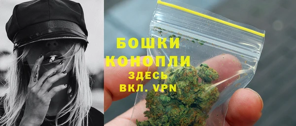 прущие грибы Зеленодольск
