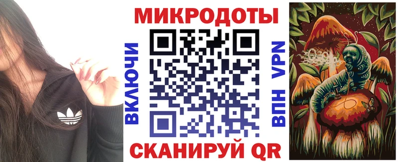 купить  сайты  Старица  Псилоцибиновые грибы мицелий 